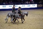 Quadrille - 00685